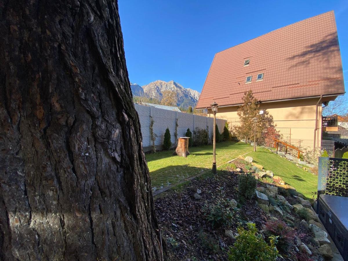 Royal Inn Busteni-Adults Only Esterno foto